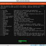 ubuntu_2_snap_setup.png