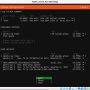 ubuntu_1_disk_setup_2.png